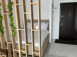 Adagio Apartment 2