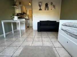 1-Zimmer Apartment Waldperle