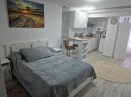 City Studio，位于特尔古-塞奎斯的酒店