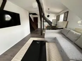 Soh Rent Schiltigheim Appartement 2 Pièces duplexe - TV - wifi