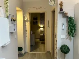CAMARDA SUITE
