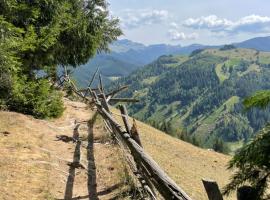 Pensiunea de la Rau Moieciu de sus，位于米奥修德萨斯的酒店