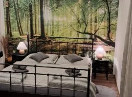 Apartmán 4you