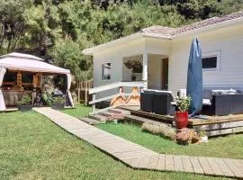 Wainui bush retreat