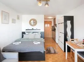 Le Cleuson - centré avec vue