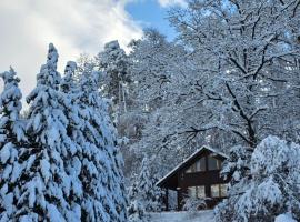 Romantisches Waldhaus mit Privatsauna, Grill und Feuerschtelle，位于Münchsteinach的酒店