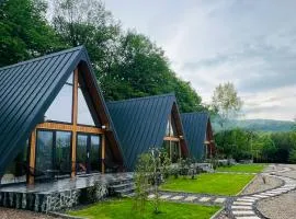 A-frame Marisa Vadu Crisului