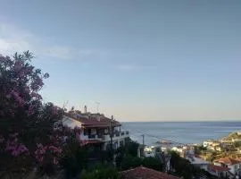 Raptis House
