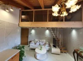 The Modern Mezzanine Loft with spiral staircase