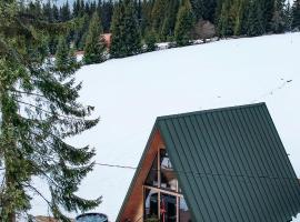 La Știubei Cabin，位于马里瑟尔的酒店