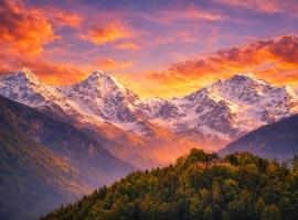 Swiss Alpine view apartment，位于因特拉肯的酒店