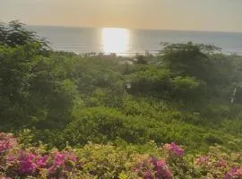 Ocean View House