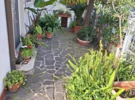 Casa Elisa