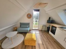 L'escapade ansérienne