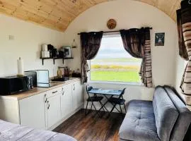 The Dozy Donkey Shepherd Hut & Sauna Farm Stay