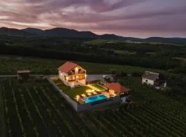 Private Vineyard Villa with Heated Pool, Spa & BBQ by Destination GREEN Croatia