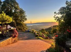 Panorama Ferien in Walzenhausen mit See und Bergblick, Willkommen bei MOVIDA