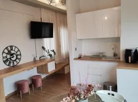 Beauty and Comfort Loft For Relax & Work