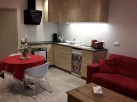 Studio au coeur du village