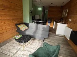 Appartement RDC avec jardin en centre-ville