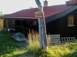 Wooden Cabin From The 70S At Tree Line In Geilo