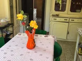 Aria Pura apartment