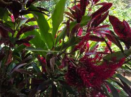 Centro Ecoturistico Ya´ajche，位于Lacanjá的酒店