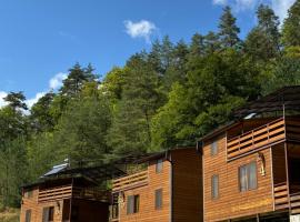 Krikhi Village კრიხი ვილიჯი，位于Kʼvemo Krikhi的酒店