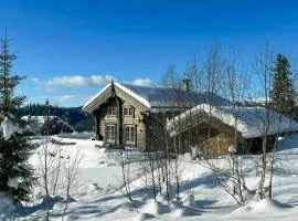 Hand-Crafted Cabin With Sod Roof And Terrace