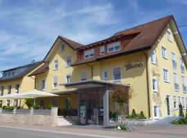 Blume Hausach I Hotel & Restaurant，位于豪萨赫的酒店
