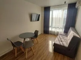 Apartment in Irpin Pavlenka