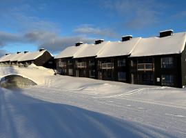 Funäs Fjällby - Kåvan Funäsdalen，位于菲奈斯达伦的酒店