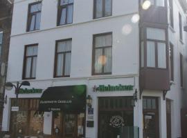 Hotel Cafe Het Bolle Schaep，位于泰尔讷曾的酒店