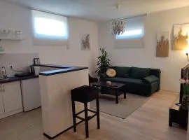 Apartman Centar Surcin 2