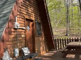 A-Frame Cabin #2 on Patoka Lake in Southern Indiana