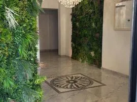 Diana Zigzag Apartament