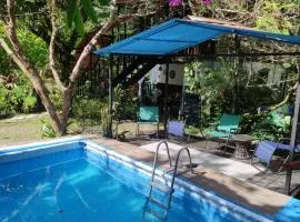 Papaya Wildlife Lodge
