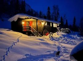 Cosy mountain cabin 875m near Turufjell, ski, fishing, hiking and quiet nature，位于弗洛的酒店