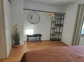 Cozy Modern Apartment in Seelbach near Europa Park