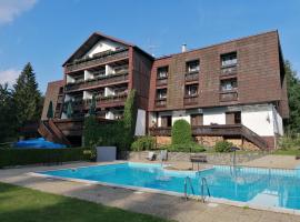 Hotel Pavla Vysočina，位于诺夫梅斯托纳马瑞夫的酒店