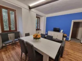 sunflower apartment