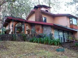 Cabin with fireplace and grill