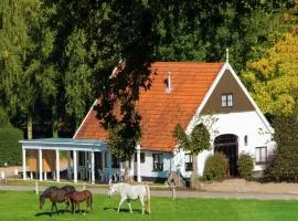 Chalet in Overijssel with Spacious Terrace
