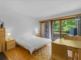 Emeraudes 403 pres de la telecabine a Anzere