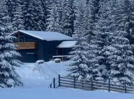 Greystone Cabin