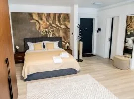Piatra Studio