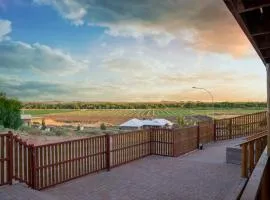 Kalahari Lion's Rest