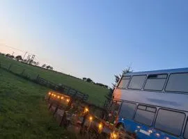 The Bru Bus