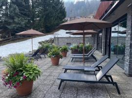 Hotel Chalet du Soleil，位于托尔诺的酒店