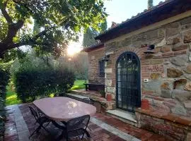 Lo Stollo 3 Sassetta-Tuscany